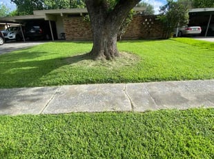 Jason H.'s Lawn Mowing service result