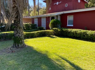 Bush Trimming by Zach Tyler for Darryl M. in Tallahassee, FL