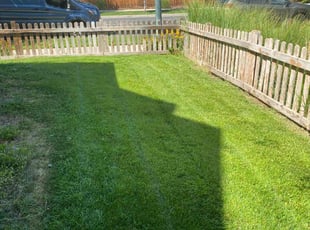Angel T.'s Lawn Service service result