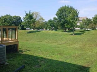 Laura C.'s Lawn Mowing Service service result