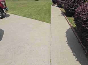 Jason R.'s Yard Cutting service result