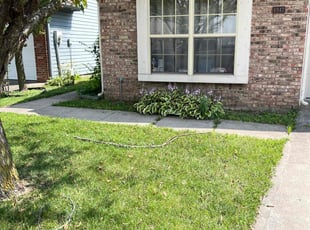 Bush Trimming by Jeffery Anderson for Sheila R. in Indianapolis, IN