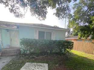 Bush Trimming by Trevor Wood for Petra M. in St. Petersburg, FL
