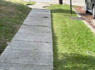 Debbie C.'s Lawn Mowing service result