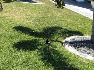 Mark T.'s Lawn Service service result