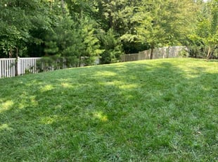 Melissa R.'s Lawn Service service result