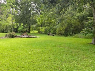Patty H.'s Lawn Service service result