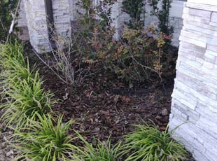 Cleanups by Marvel Carmichael for Chris K. in Winter Park, FL