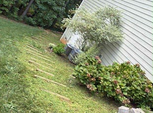 Weeding by Tranae Freeman for Queenie L. in Wake Forest, NC