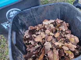 Leaf Removal by Tammy Becker for Esmeira N. in Palm Bay, FL