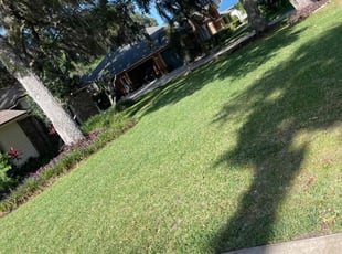Sherry and Daniel S.'s Lawn Mowing service result