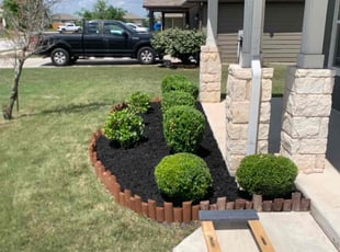 Bush Trimming by Justin Stultz for Bobby D. in Hutto, TX