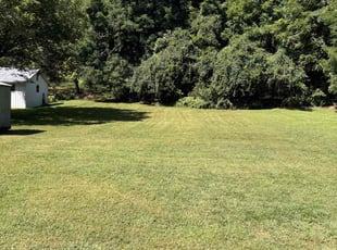 Felicia S.'s Lawn Mowing service result