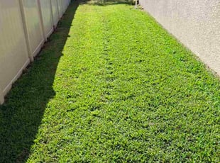 Kim H.'s Yard Cutting service result