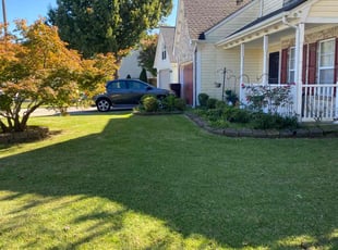 Paul F.'s Lawn Care service result