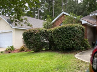 Bush Trimming by Zach Tyler for Kathryn C. in Tallahassee, FL