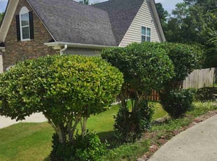 Bush Trimming by Stephanie Moland for Marion S. in Dallas, GA