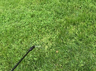 Cleanups by Gilberto Ayala for Mordechai N. in Alexandria, VA