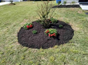 Landscaping by Joseph Blanck for maliek f. in Elgin, SC