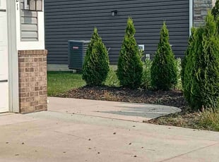 Weeding by Kassidy White for Brandy R. in North Ridgeville, OH