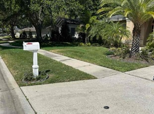 Amie B.'s Lawn Mowing service result