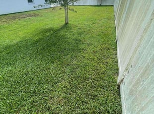 Megan S.'s Lawn Mowing service result