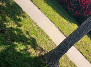 Martha C.'s Grass Cutting service result