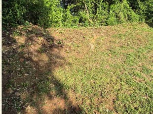 Cleanups by Amira Knowles for Thomas H. in Stonecrest, GA