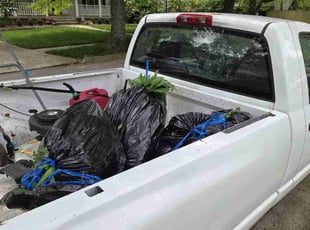Weeding by Andrew Cooperrider for Kennedy S. in Lexington, KY