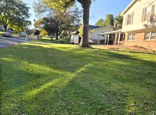 Jeriesha P.'s Lawn Mowing service result