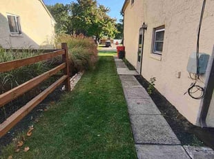 Cristina M.'s Yard Cutting service result