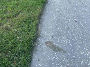 Kendra N.'s Lawn Care service result