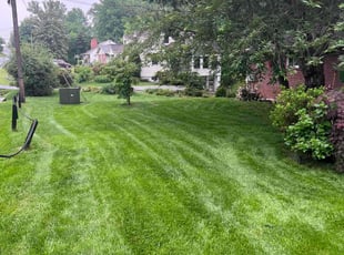 Matthew R.'s Grass Cutting service result