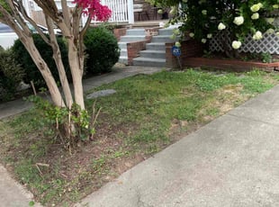 Cleanups by Gus Cronley for Chris T. in Alexandria, VA