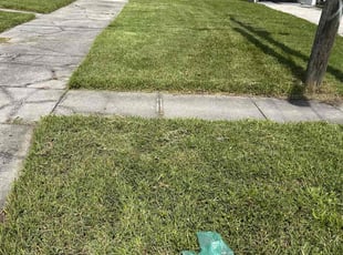Cleanups by Hector Mieles for Tiago S. in Winter Park, FL