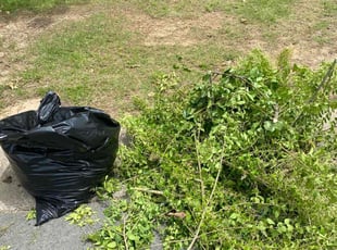 Weeding by Maurice Pride for Scott W. in Little Rock, AR