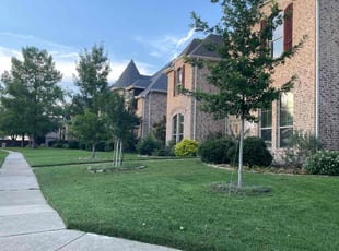 Manuel B.'s Lawn Mowing service result