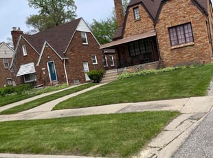 Michael Y.'s Lawn Mowing service result