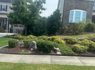 Debi G.'s Lawn Mowing Service service result