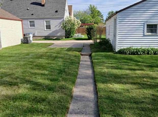 Vanessa L.'s Yard Cutting service result