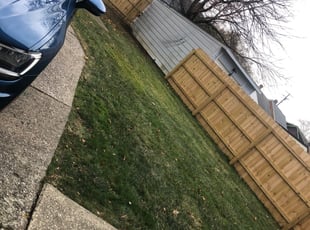 Leaf Removal by Demetrius Bennett Jr for Deborah W. in Cleveland, OH