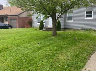 Jamie D.'s Grass Cutting service result