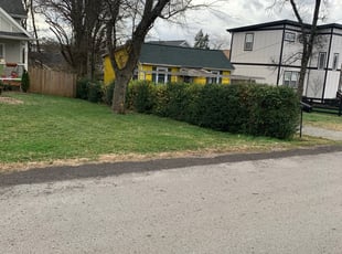 Bush Trimming by Richard Glover for Alicia K. in Nashville, TN