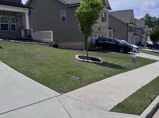 Victoria S.'s Yard Cutting service result