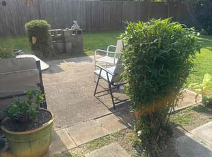 Bush Trimming by Jeremy Conner for Tammy P. in Panama City, FL