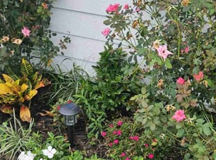 Weeding by Gabe Camberos for Rodney G. in Violet, LA