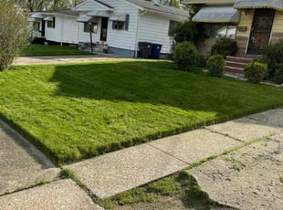 Toya D.'s Grass Cutting service result