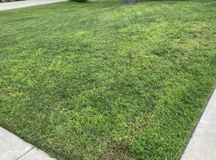 Barbara J.'s Lawn Mowing service result
