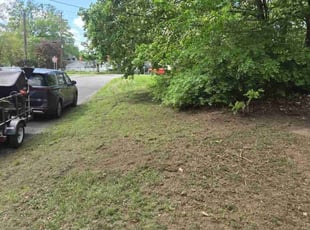 Leaf Removal by Samantha Wolfe for Lynn M. in Northampton, MA