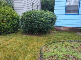 Bush Trimming by Rayshawn Martin for Roshawn J. in Garfield Heights, OH